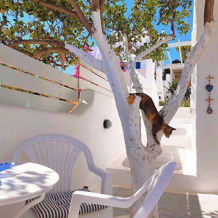 Lemon Tree Maisonette - Naoussa Paros Екстер'єр фото