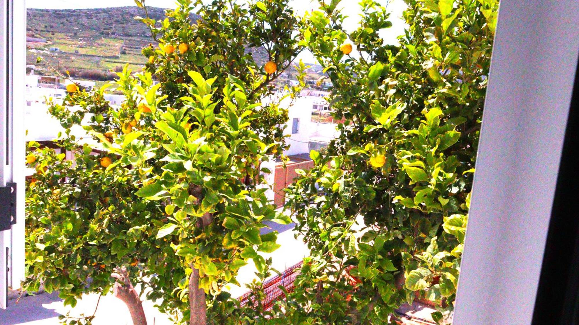 Lemon Tree Maisonette - Naoussa Paros Екстер'єр фото