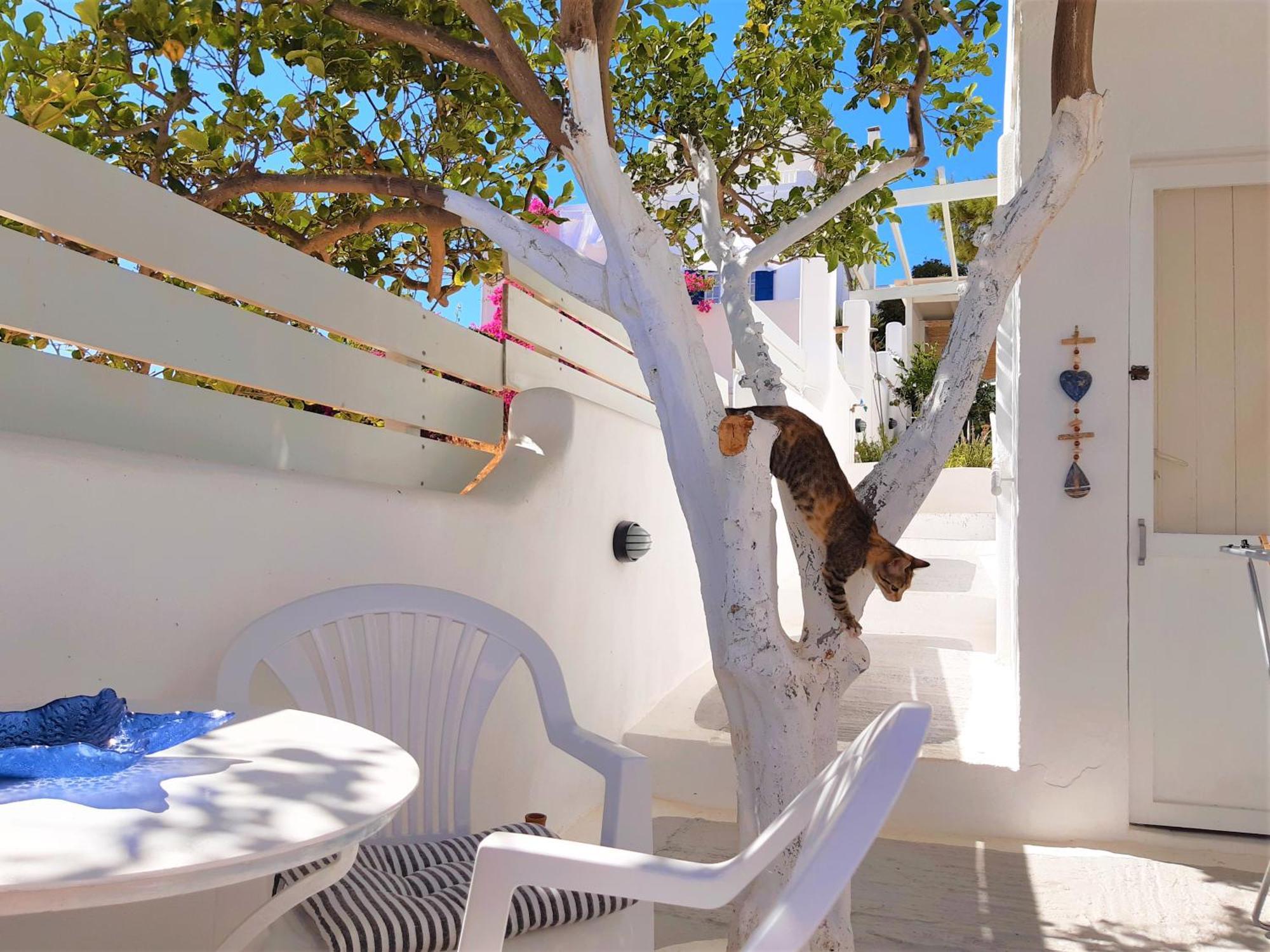 Lemon Tree Maisonette - Naoussa Paros Екстер'єр фото
